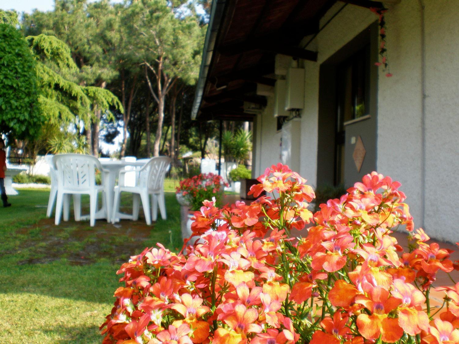 Villa Isabella Marina di Grosseto Bagian luar foto