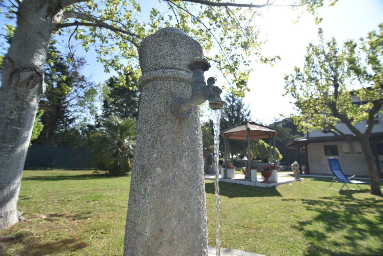 Villa Isabella Marina di Grosseto Bagian luar foto