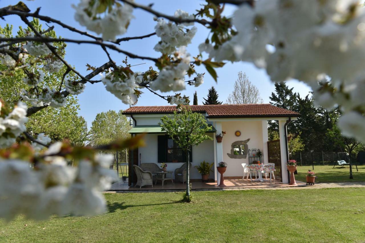 Villa Isabella Marina di Grosseto Bagian luar foto