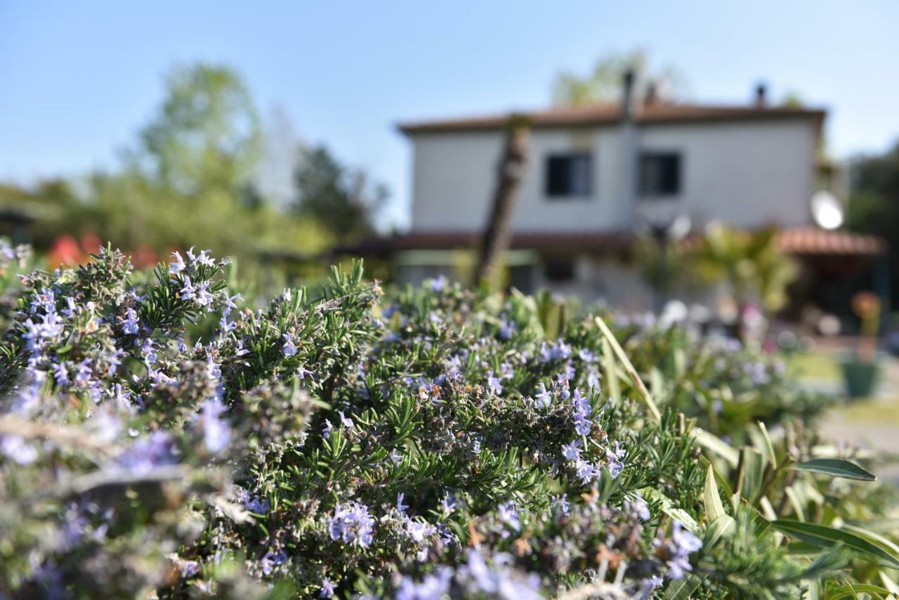 Villa Isabella Marina di Grosseto Bagian luar foto