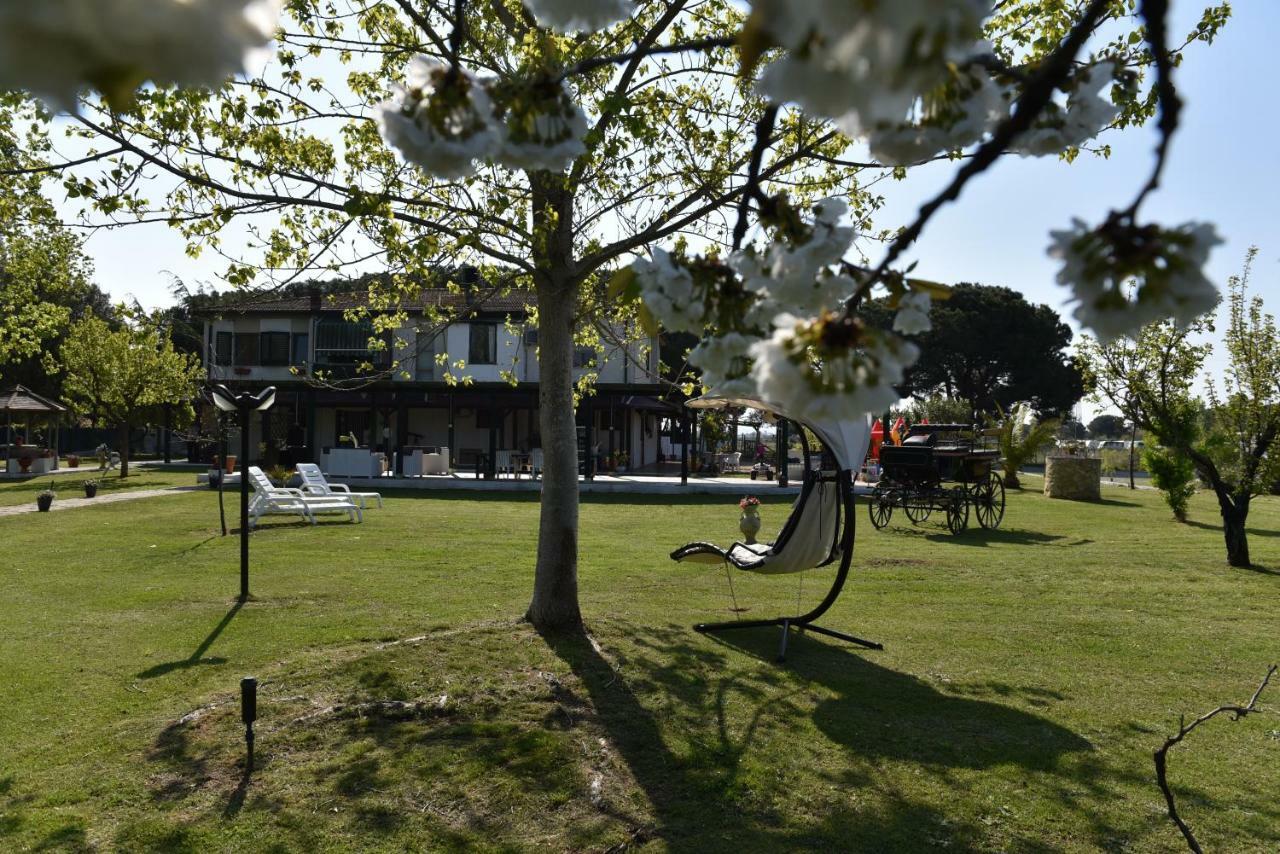 Villa Isabella Marina di Grosseto Bagian luar foto